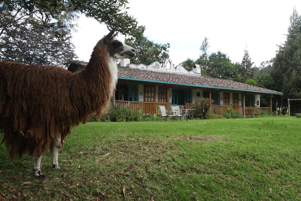 Las Palmeras Inn Otavalo Extérieur photo
