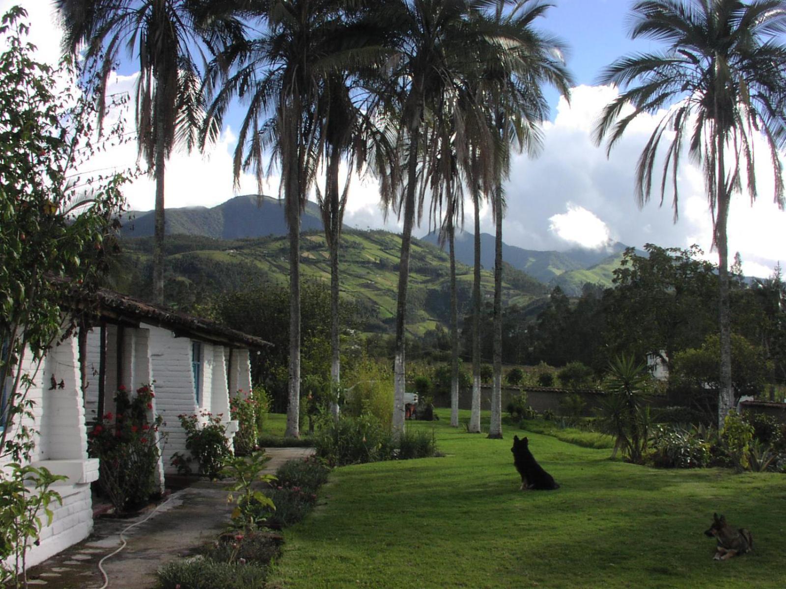 Las Palmeras Inn Otavalo Extérieur photo